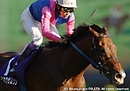 2007ŷ�ľޡ��� �ᥤ���祦���ॽ��