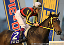 2010ŷ�ľޡ��� �֥��ʥӥ���