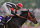 2012�Σȣ˥ޥ���� �����֥�å��ҥ�