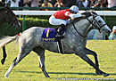 2012�Ʋ־� ������ɥ��å�