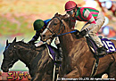 2012���ꥶ�٥������� �쥤��ܡ����ꥢ