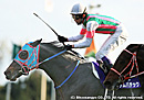 2012�ޥ���ã� ������ѥƥå�