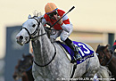 2012ͭ�ϵ�ǰ ������ɥ��å�