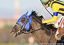 2013����ѥ󥫥å�D �٥륷�㥶����