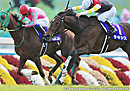 2014���ꥶ�٥������� �饭����