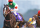 2019ͭ�ϵ�ǰ �ꥹ���饷�塼