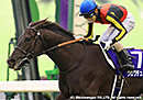 2026ŷ�ľޡ��� ������ǥ�Ρ���